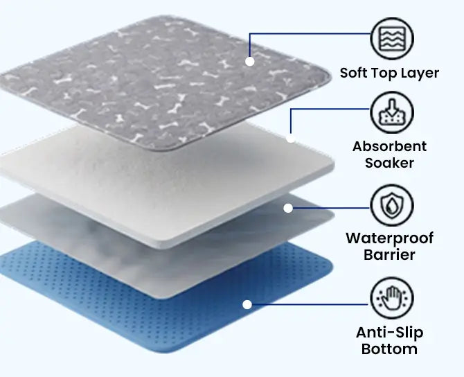 NovaPaw four-layer leak-defense construction
